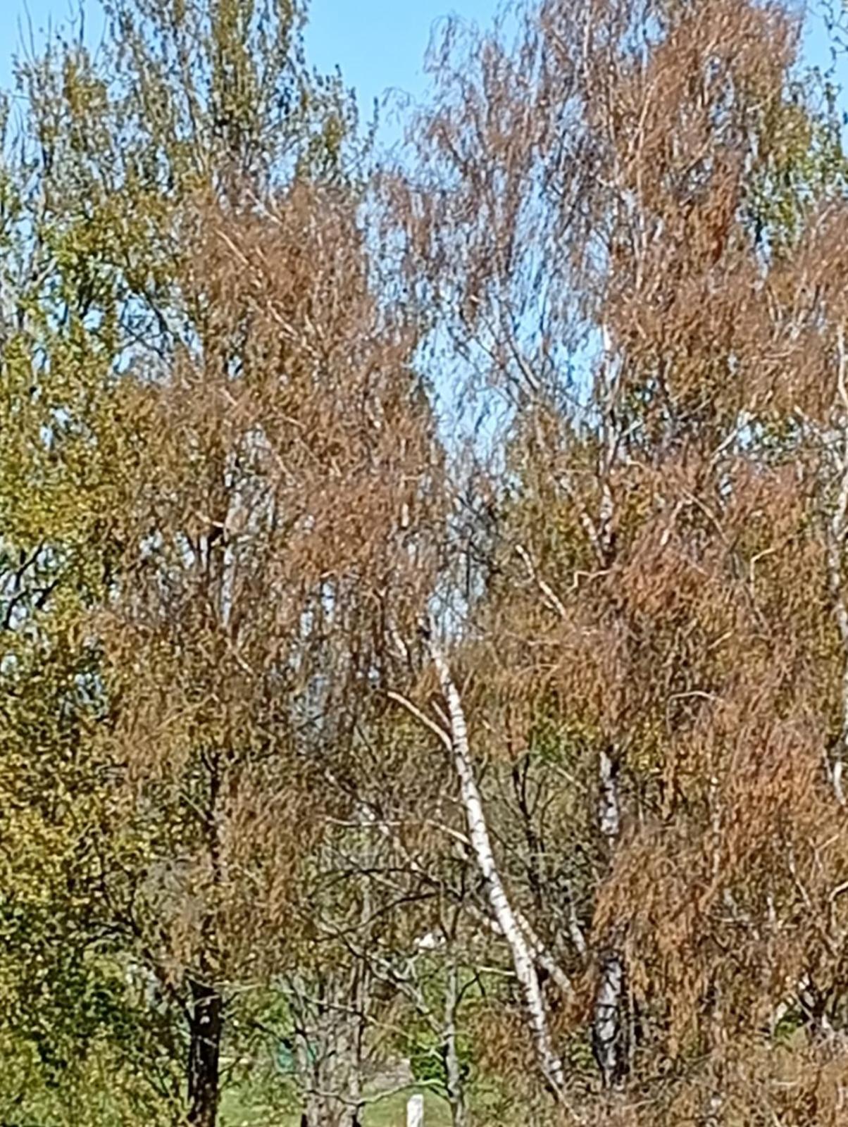 Woda I Wiatr Pl 2 Rozewska 44